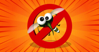 Genetiği Değiştirilmiş Sivrisinekler Florida’da