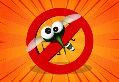 Genetiği Değiştirilmiş Sivrisinekler Florida’da